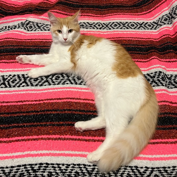 Bookmark Closet Here - Picture 6 of 16